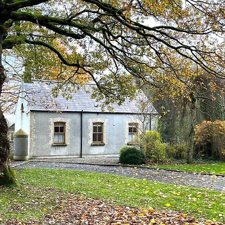 Country Garden House Holiday Homes Ballymoney Eksteriør bilde